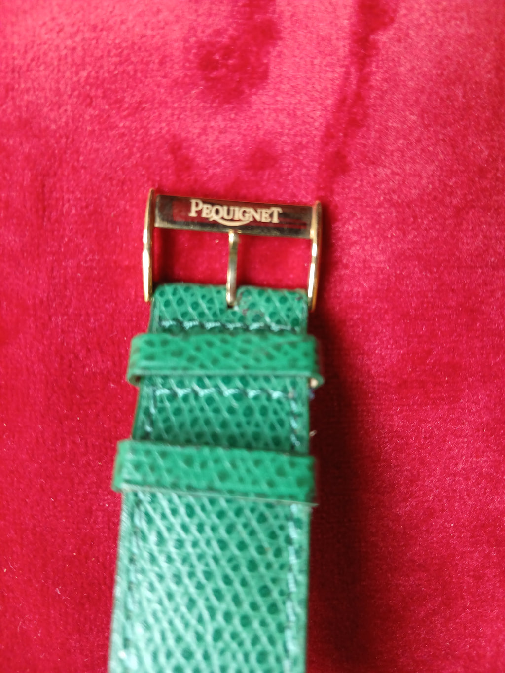 Bracelet cuir montre femme  pequignet cameleone