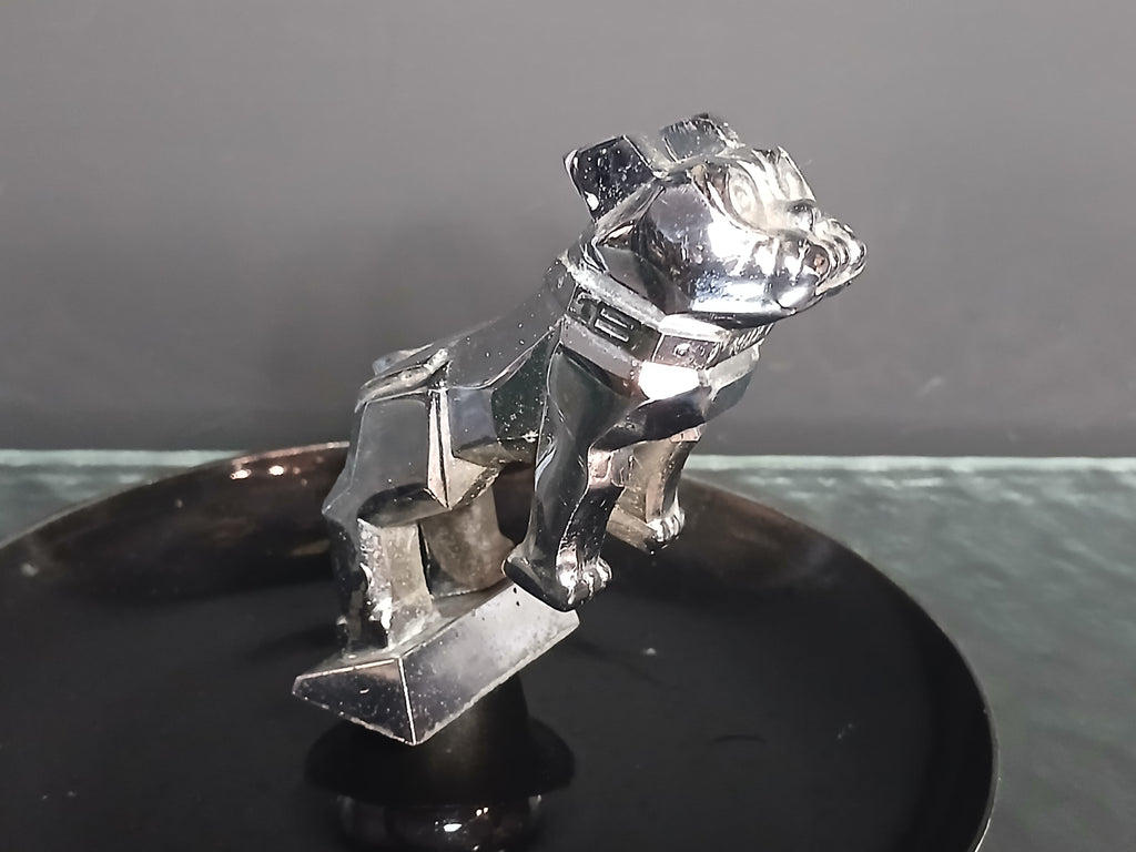 Magnifique mascotte de chien "MACK" USA (Chicago).