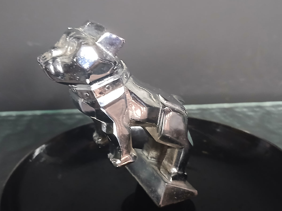 Magnifique mascotte de chien "MACK" USA (Chicago).