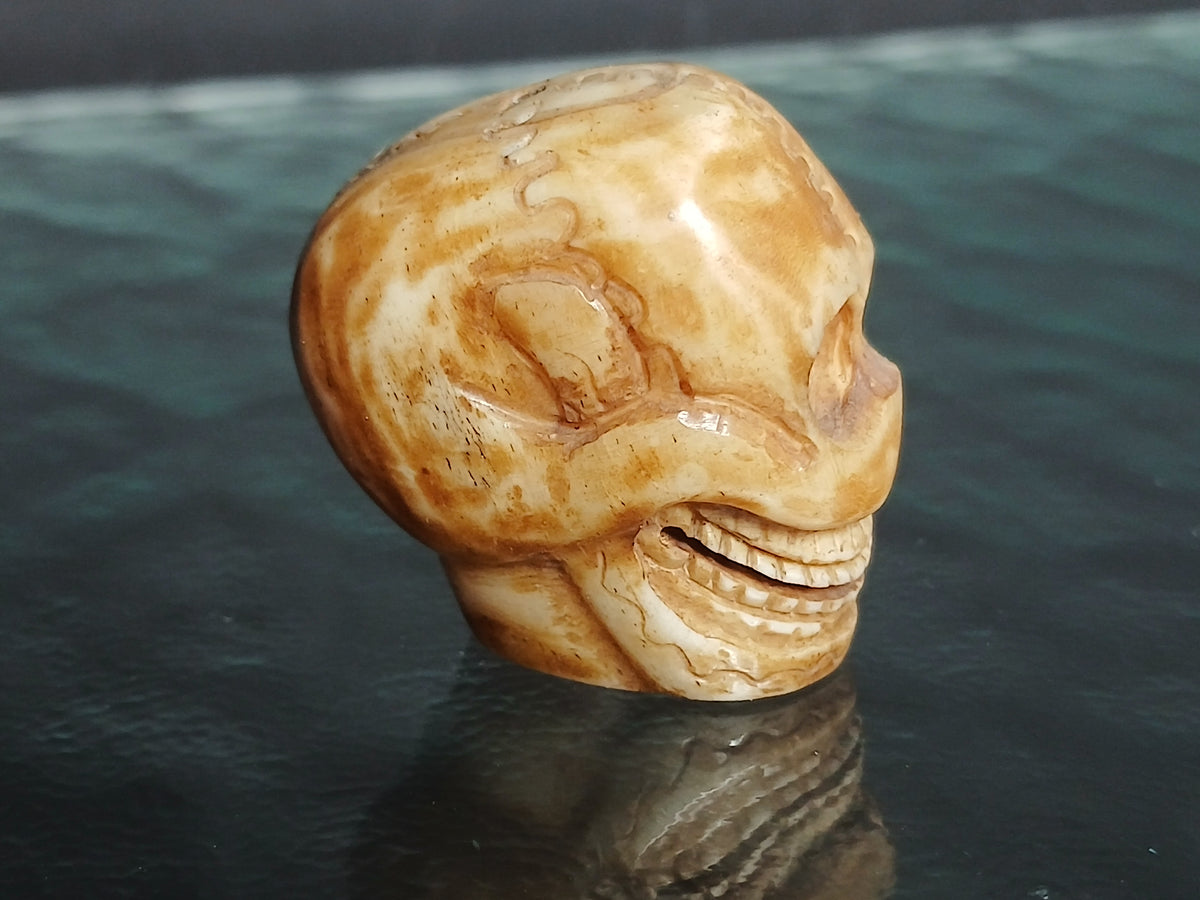 superbe crâne sculpté en os de yak, début du XXe siècle