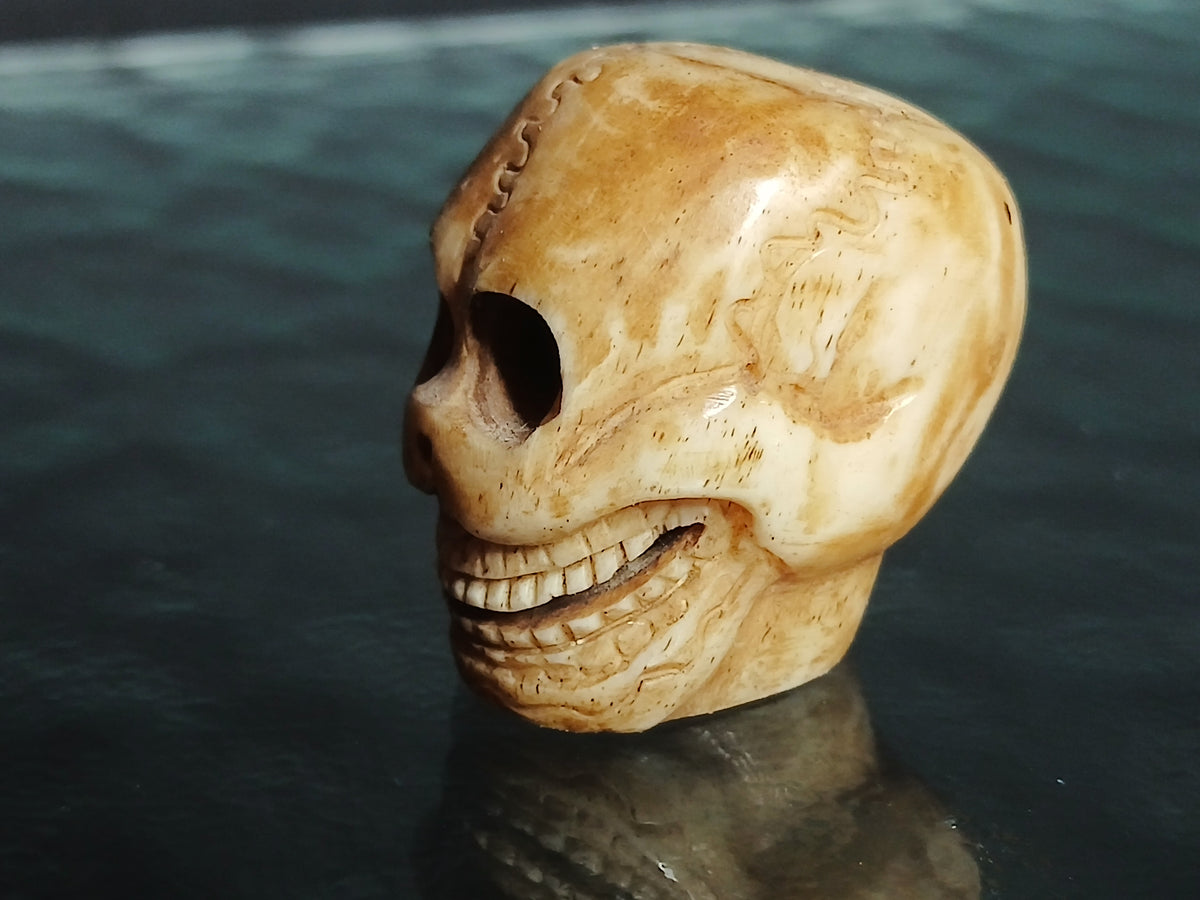 superbe crâne sculpté en os de yak, début du XXe siècle