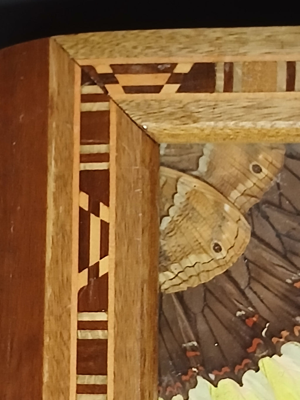 superbe  plateau vintage en bois , composition artistique de Carlos Zipperer 1950